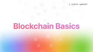 1xb