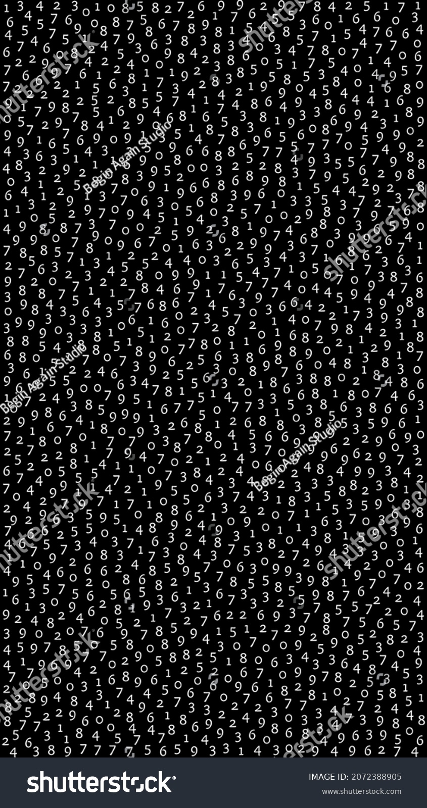 Rắn