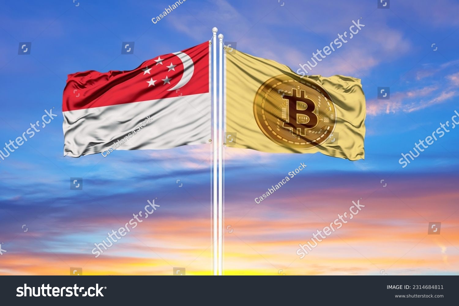 Pin