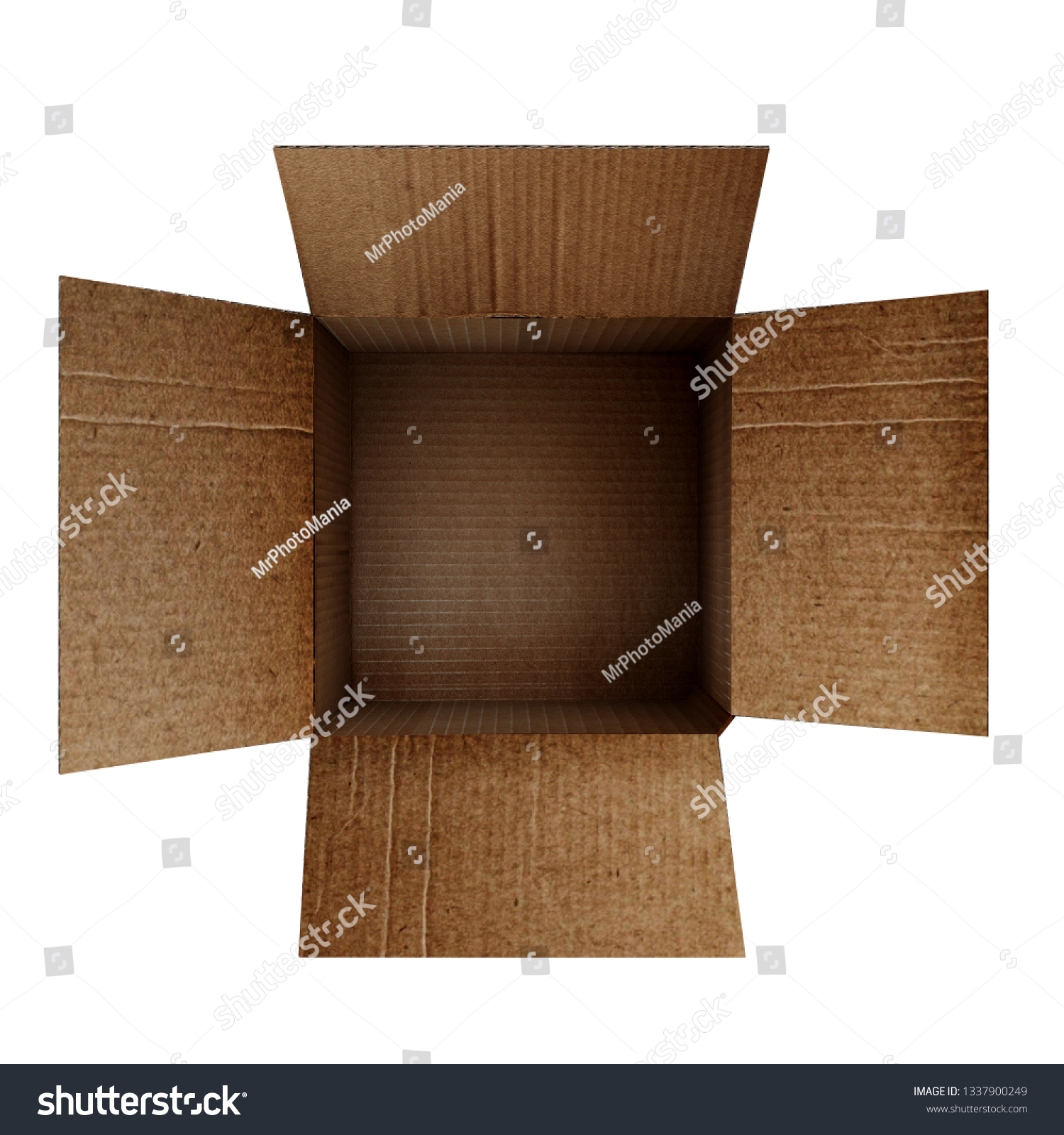 nữ 