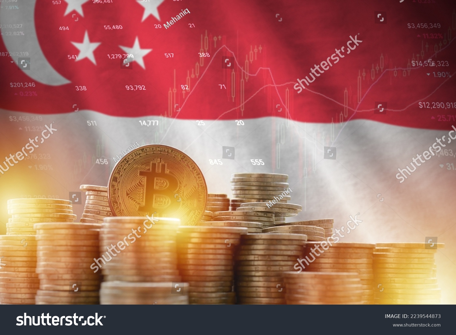 Hổ 