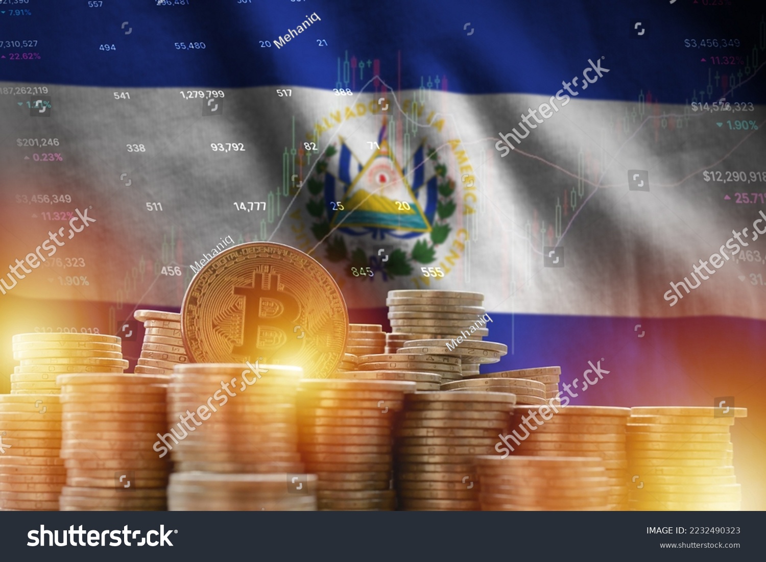 Chó