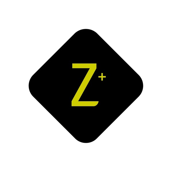 1 t