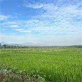 NƯỚ