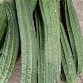 Chú