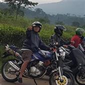 giả