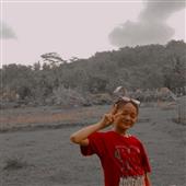 VỪN