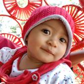 cuộ