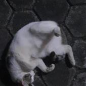 Kết
