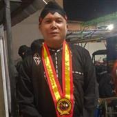 Giả