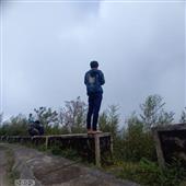 Bản