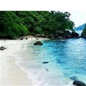 Trọ