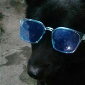 Rou