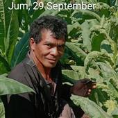 Bes