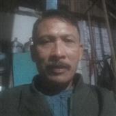 Giả