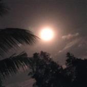 Tiê