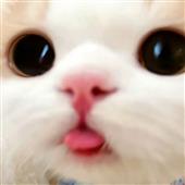 Vũ 
