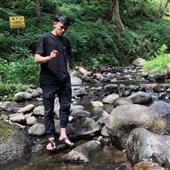 Bản