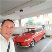 tố 