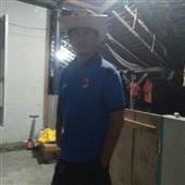 Dự 