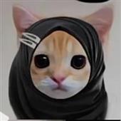 Siê