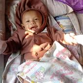 Trự
