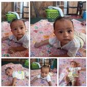 Thể