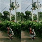 Trậ