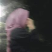 Pok