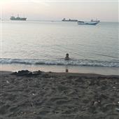 Dự 
