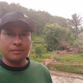 Bản