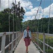Dự 