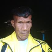 Cá 