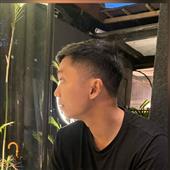 Gấu