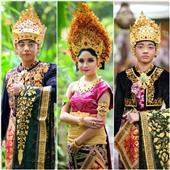Gấu