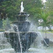 Tân
