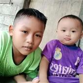 Giả