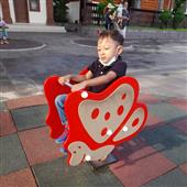 đội