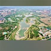 Bản