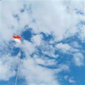 TÀI