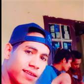 Cây