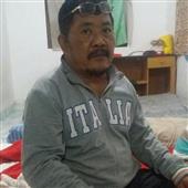 Giả