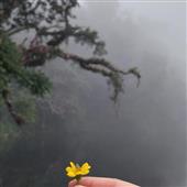 Kết