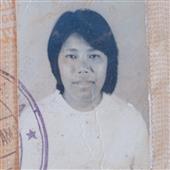 Máy