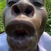 Ngũ