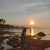 Bản