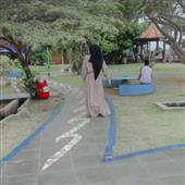 Lok