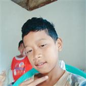 Dự 