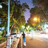 Đấu