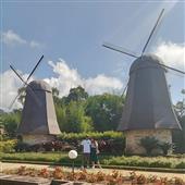Luậ